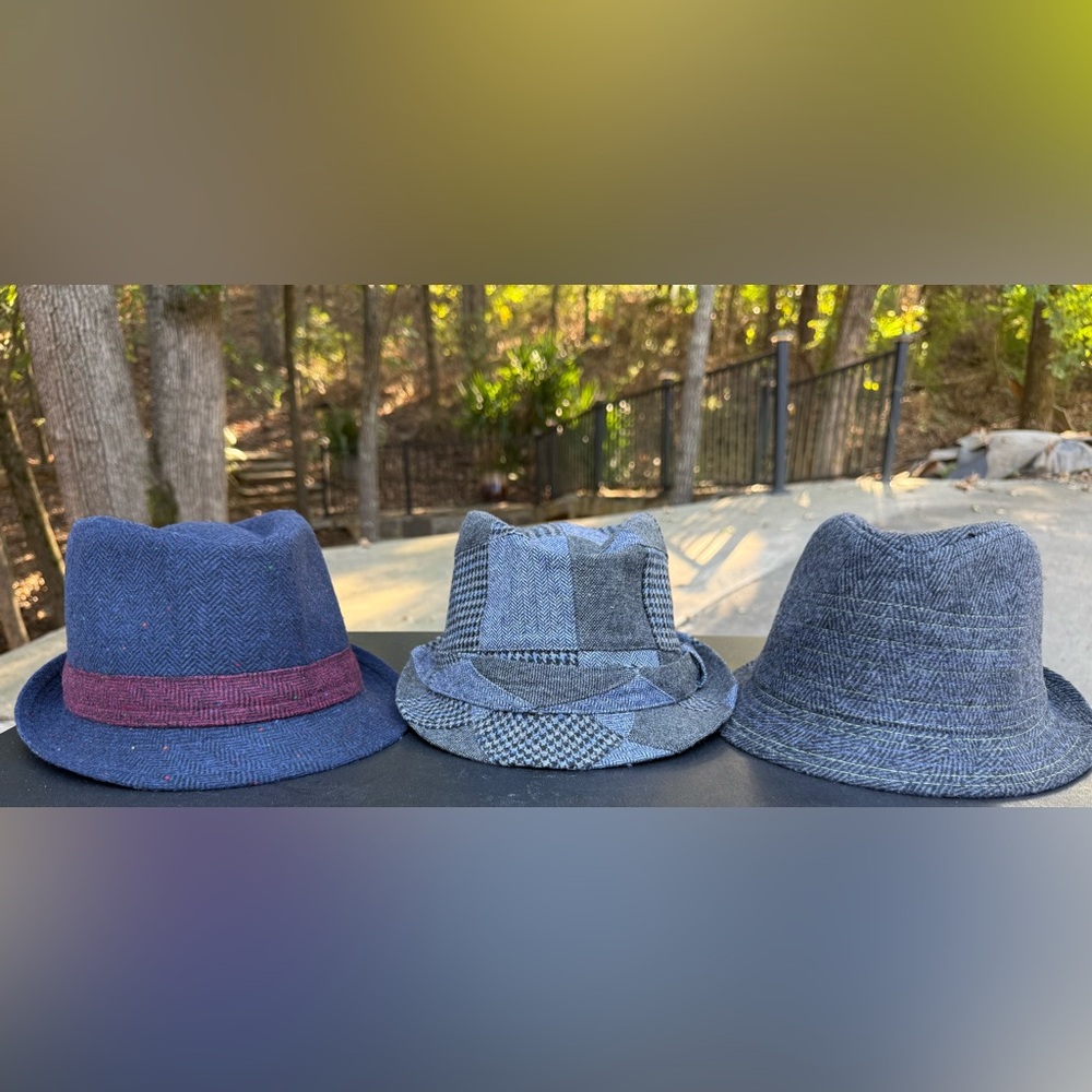 Stylish Trio of Blue and Gray Fedoras
